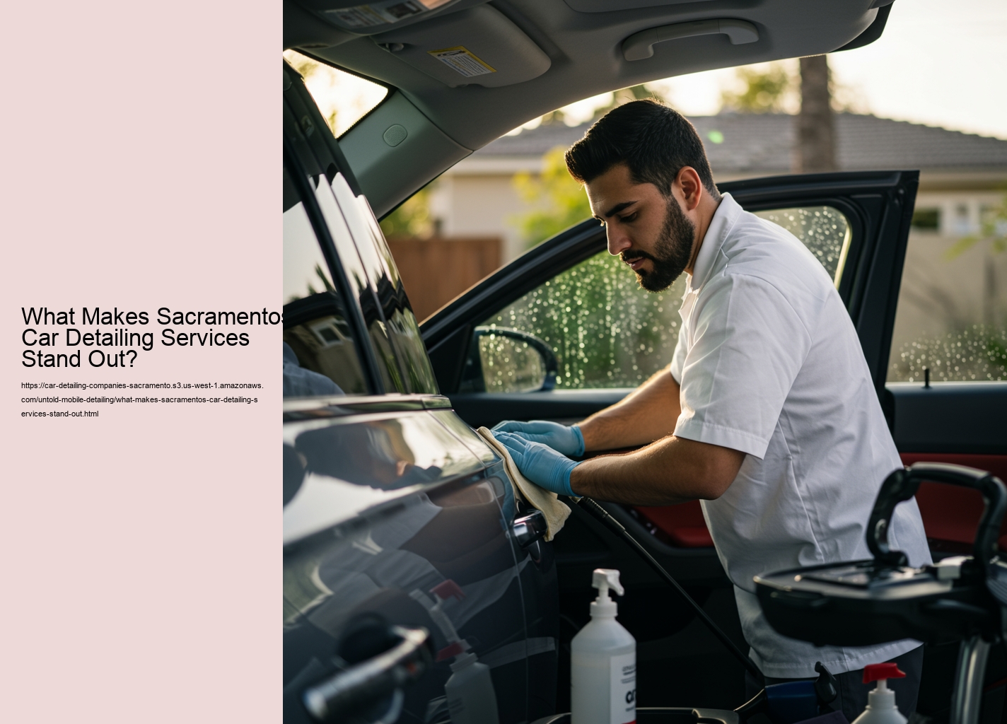 What Makes Sacramentos Car Detailing Services Stand Out?